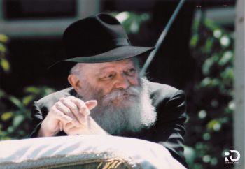 פתרון יציב לטווח נצחי